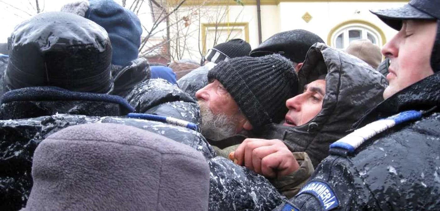 Buluceală pentru fasole