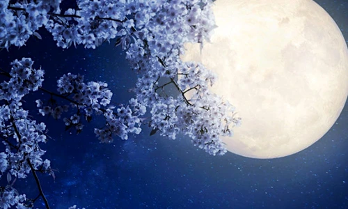 1 74528 original jpg jpeg