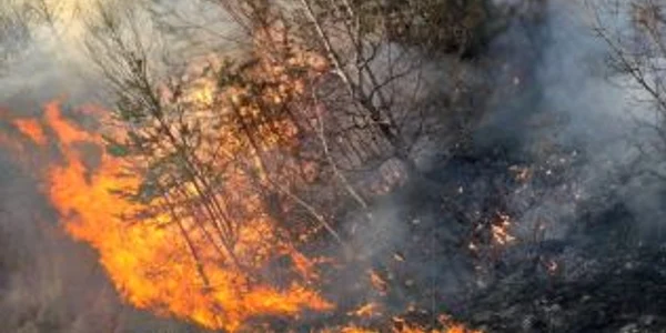 incendiu litiera