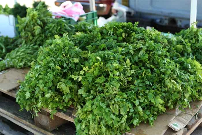 Pătrunjelul are efecte nebănuite în multe afecţiuni şi probleme de sănătate.