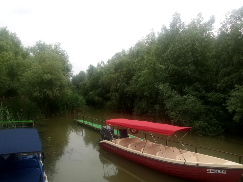 canal dunavat