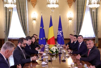 INSTANT COTROCENI CONSULTARI PSD 06 INQUAM Photos Octav Ganea jpg