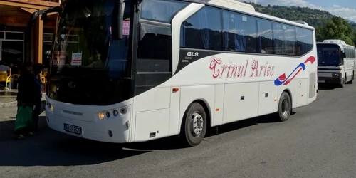 autobuz crinul aries