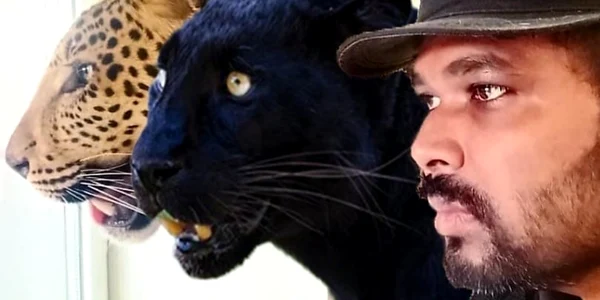 un indian din ucraina s a adapostit impreuna cu animalele sale de companie o panteră şi un jaguar foto facebook Jaguar Kumar