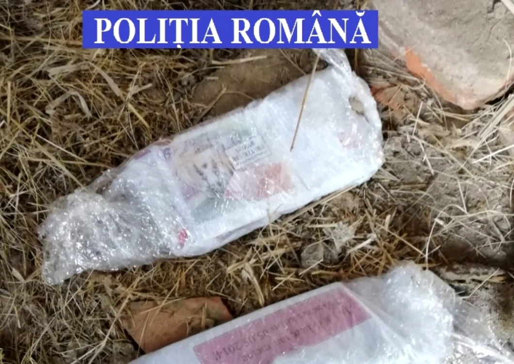 Banii au fost ascunşi în pământ FOTO Poliţia Română