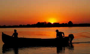 Delta Dunării Pixabay