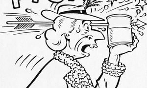 Mai mult zevzeci decît deştepţi jpeg