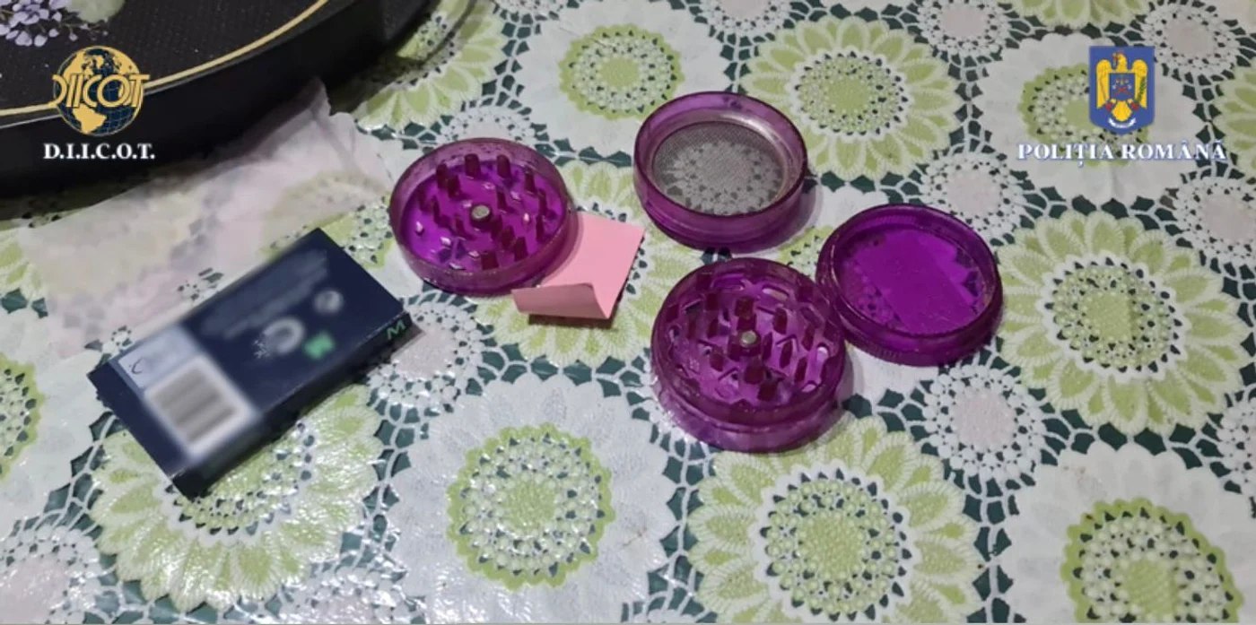 Droguri capturate într-o seră din Dâmbovița. Olandezul care a plantat canabis a fost prins, VIDEO.