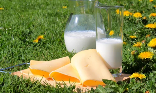 Cover Photo De ce sa consumi produse lactate bio Iata care sunt cele mai importante beneficii (2) jpg