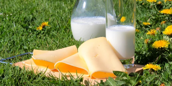Cover Photo De ce sa consumi produse lactate bio Iata care sunt cele mai importante beneficii (2) jpg