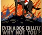 Red Cross 1918