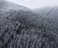 Fata Cetei Foto Daniel Guță ADEVĂRUL (3) JPG