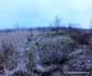 Ruinele fostului combinat din Hunedoara Foto Daniel Guță ADEVĂRUL (8) jpg