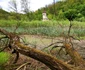 Lacul Cinciș din Hunedoara Foto Daniel Guță ADEVĂRUL (21) jpg