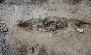 mormant barca epoca vikingilor historia jpg