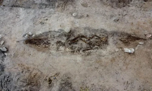 mormant barca epoca vikingilor historia jpg