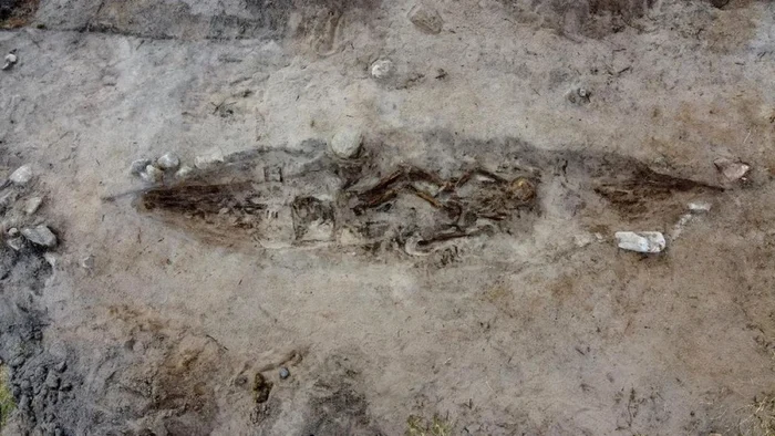 O femeie din epoca vikingilor, îngropată alături de câinele ei / foto: Historia