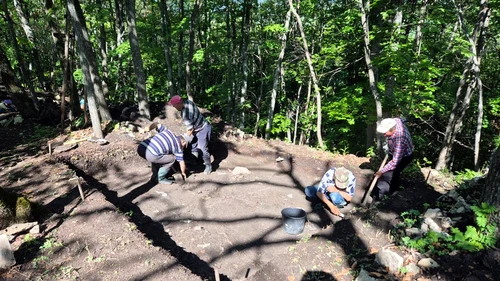 Săpături arheologice la cetatea dacică de la Târcov (foto: Facebook / Muzeul Județean Buzău)