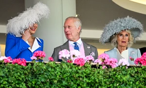 Sophie Winkleman și Regele Charles profimedia 0883591786 jpg