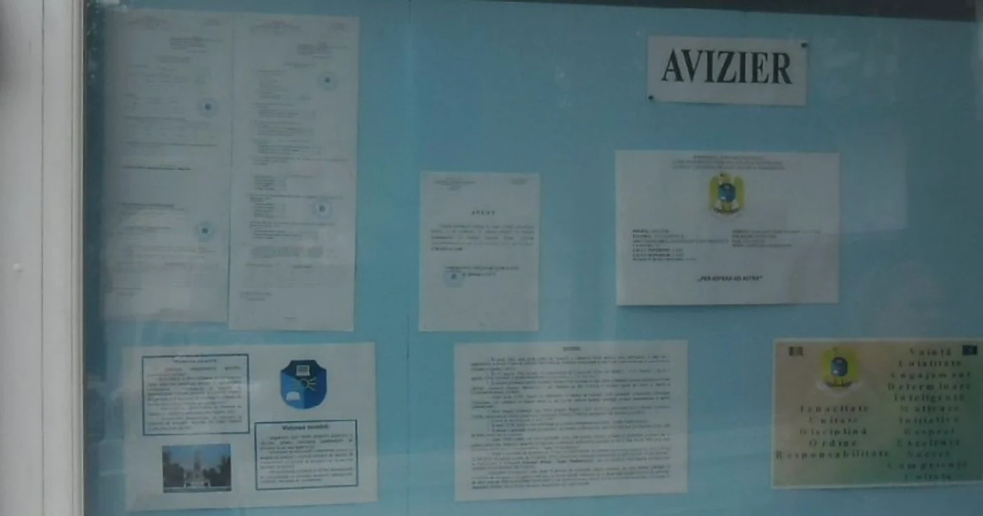 avizier4