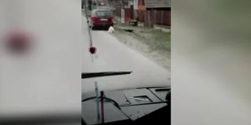 5c8a40aa445219c57e3c3865 jpg