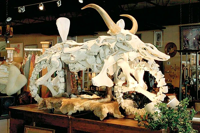 
    Un an a durat  confecţionarea  motocicletei  