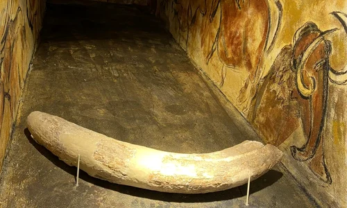 Fildeș de mamut bucureștean, expus la Casa Filipescu Cesianu jpeg