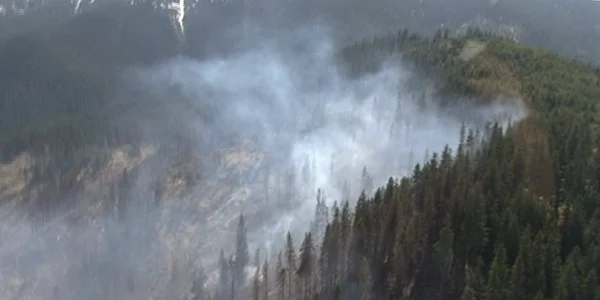 Incendiu puternic de pădure la limite judeţelor Suceava şi Bistriţa-Năsăud. FOTO