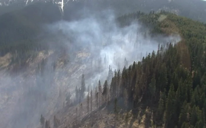 Incendiu puternic de pădure la limita judeţelor Suceva şi Bistriţa-Năsăud. FOTO: ISU Suceava