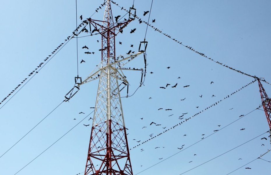 Olandezii raționalizează electricitatea: infrastructura energetică a Europei dă semne de blocaj