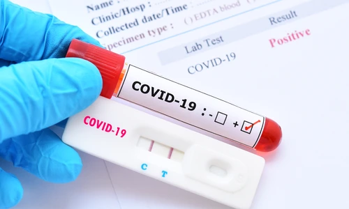 1 shutterstock 1692370762 jpg jpeg