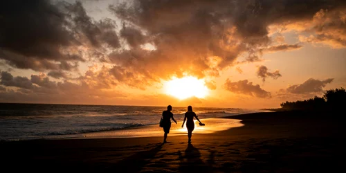 pexels dorian nicolas 256415270 12562720 jpg