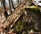 catunul valea talharului foto daniel guta adevarul