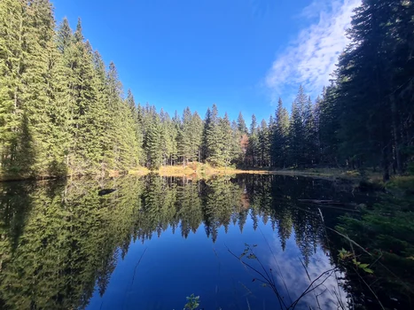 Trasee montane din județul Bacău FOTO turism bacau (5) jpg