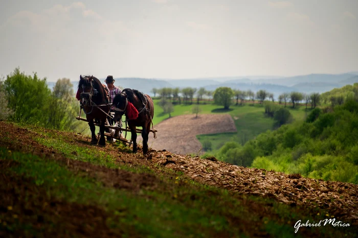 Ieșirea la arată primăvara  FOTO Gabriel Motica