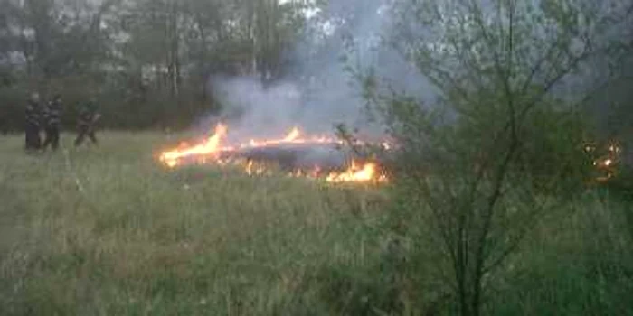 Pompierilor le-au  dat de furcă fllăcările care mistuiau cu repeziciune vegetaţia uscată