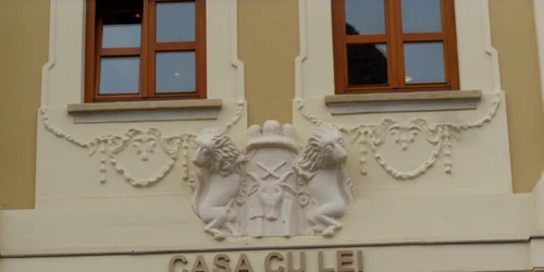 Casa cu lei 12
