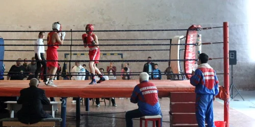 Box în Hunedoara 31 mai 2014. FOTO