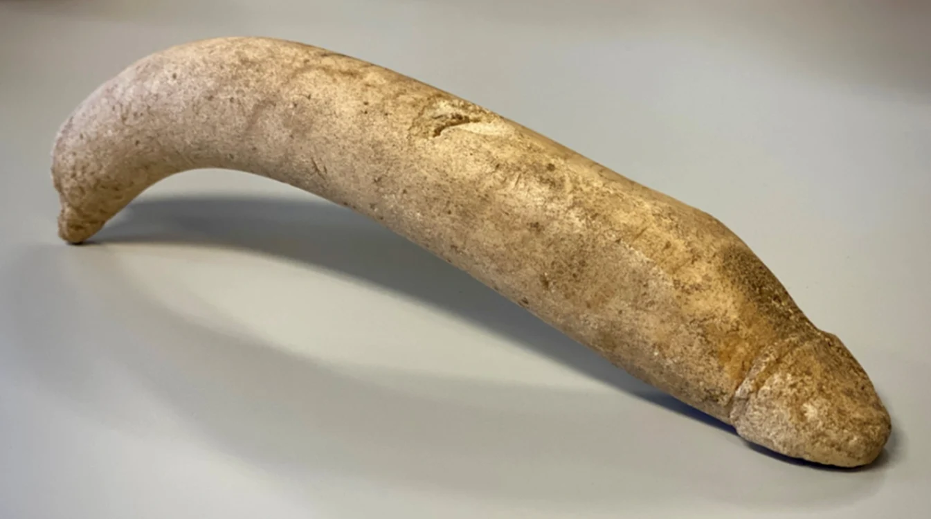 Acesta este primul exemplu cunoscut de acest fel, sculptat în os. Sursă foto: Provincia Gelderland