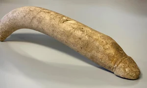 artefact penis olanda jpg