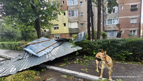 furtuna in hunedoara  Foto Daniel Guță ADEVĂRUL (36) jpg