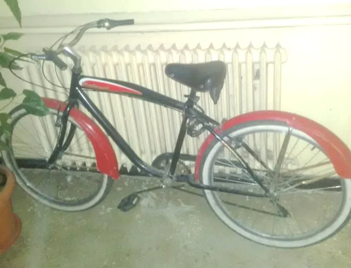 Bicicleta lui Puya este un model vechi, dar are valoare sentimentală pentru artist