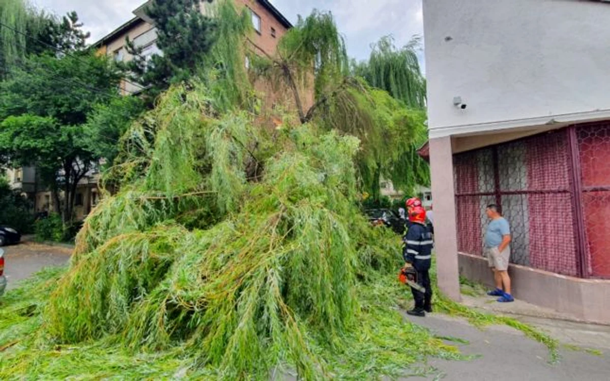 Pompierii au intervenit pentru degajarea copacilor rupți de vijelieFOTO: ISU Alba