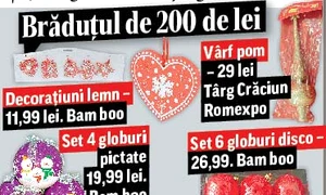 Cât costă bradul de Crăciun jpeg