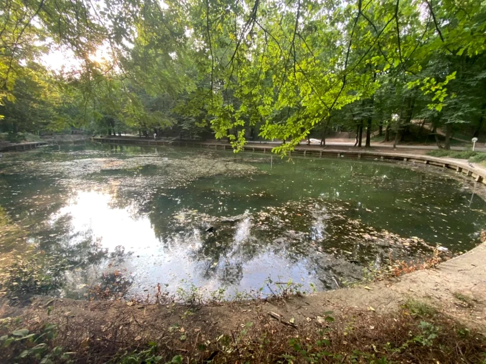 De 4 ani Primăria Sectorului 2 tot încearcă să preia lacul din Parcul Naţional Foto: Facebook Radu Mihaiu