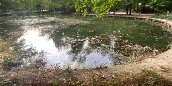 lacul din Parcul Naţional foto facebook radu mihaiu