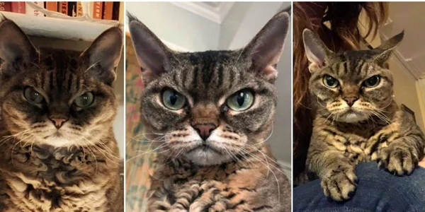 Grumpy Barbara
