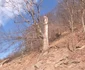 Primele defrișări pe Lotul 2 Boița Cornetu al Autostrăzii Sibiu Pitești Captură video CNAIR