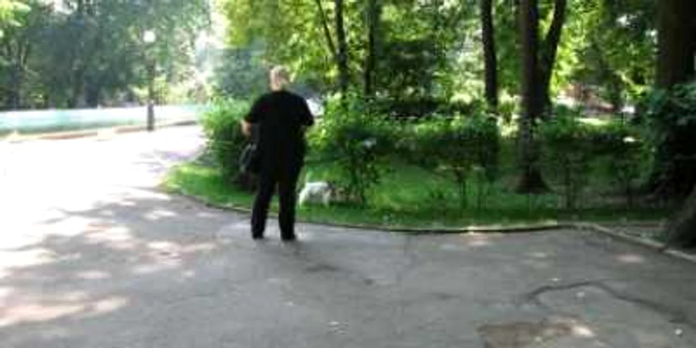 Botoşani: Cinci proprietari de câini sancţionaţi