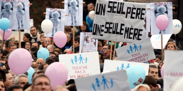 Mai multe zeci de mii de persoane au protestat împotriva "mariajului gay" FOTO AFP/Pierre Verdy